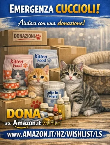 emergenza_cuccioli