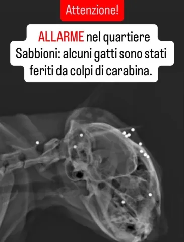 allarme_carabina
