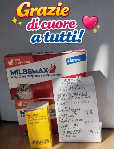 grazie_di_cuore