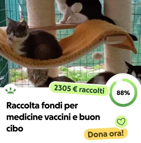 raccolta_fondi