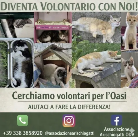 diventa_volontario