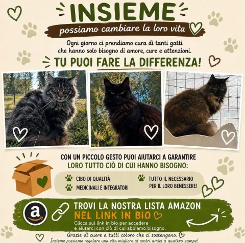 insieme