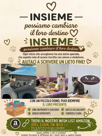 insieme