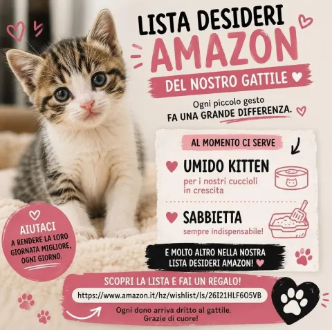 lista_desideri_amazon