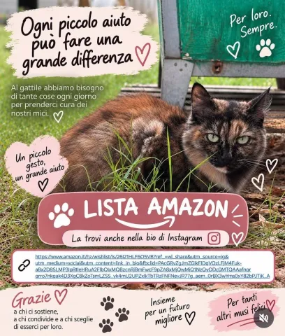 lista_amazon
